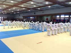 2016.3.643񈤒mN_c̑I茠